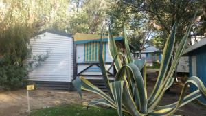a house with a plant in front of it at Camping la Croix du Sud in Saint-Tropez
