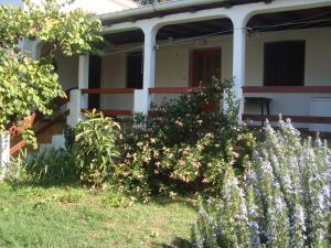 Zahrada ubytování Apartments Lovor