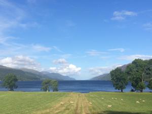 Foto de la galería de The Wee Lodge en Inverness