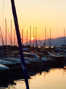 a group of boats docked in a marina at sunset at Villa Iris Apartments in Seget Vranjica