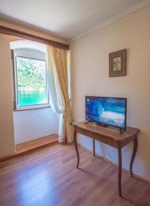 TV a/nebo společenská místnost v ubytování Apartments Radimir