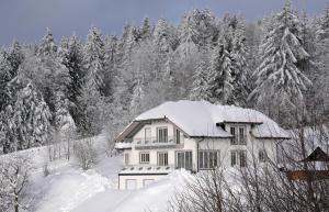 a house covered in snow in front of trees at Ferienwohnung Boxleitner in Neuschönau