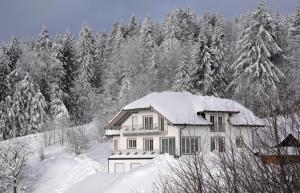 ノイシェーナウにあるFerienwohnung Boxleitnerの雪に覆われた木々の家