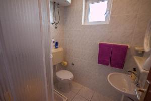 a bathroom with a toilet and a sink and a window at Apartments Bella Poljana in Ugljan