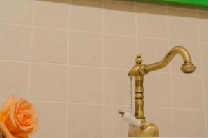 a brass shower faucet with a roll of toilet paper at La Llar-Lo Paller del Coc in Surp