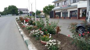 a row of flowers on the side of a street at Motel Cargo in Ţăndărei