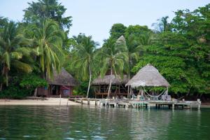 um resort numa praia com palmeiras e água em Al Natural Resort em Bocas del Toro