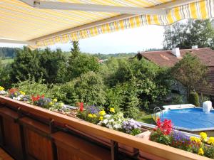 un balcón con flores y una piscina en Ferienwohnung Ausblick, en Weißensberg