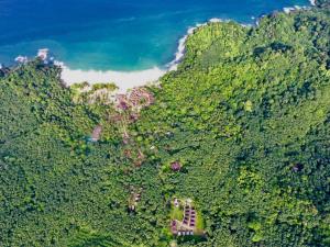 una vista aérea de una colina con árboles y el océano en Mookies Bungalows en Ko Mook