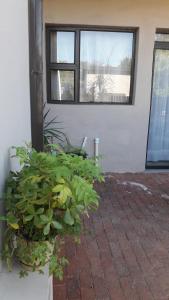 Un jardín fuera de Self-catering Studio, Unit 6 on Krupp