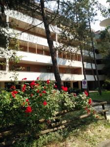 a building with red roses in front of a building at Appartamento Claudia in Grado
