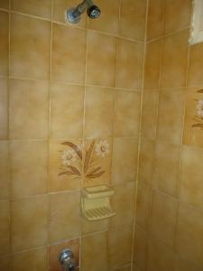 una ducha con una pared de azulejos con flores. en Posada Nativa Miss Casira, en San Andrés