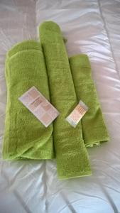 due asciugamani verdi sopra un letto di Re Leone Bed and Breakfast a Riese