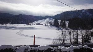 Haus Alpina v zimě