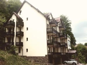 Gallery image of Hotel Mont Blanc in Predeal