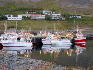 Eine Gruppe von Booten liegt in einem Hafen vor Anker. in der Unterkunft Stekkar 23 in Patreksfjörður