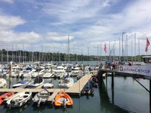 a bunch of boats docked at a marina at Luxury Town Centre Apartment in Kinsale