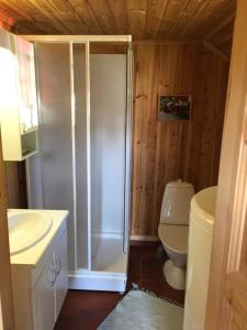 ein Bad mit einer Dusche und einem WC in der Unterkunft Løngdal in Tuddal