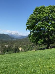 Galeriebild der Unterkunft Løngdal in Tuddal