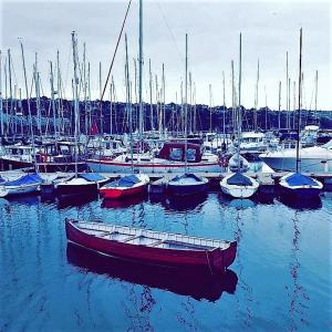 a bunch of boats are docked in a harbor at Luxury Town Centre Apartment in Kinsale