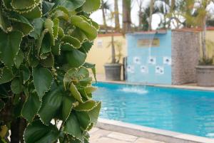 a close up of a swimming pool with a plant at Hotel Pousada Vento Leste in Cananéia