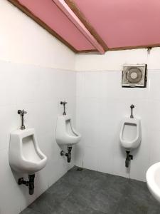 
A bathroom at DownTown Backpackers Hostel
