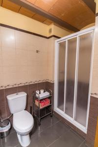ein Bad mit einem WC und einer Dusche in der Unterkunft Casa Las Eras in Beceite
