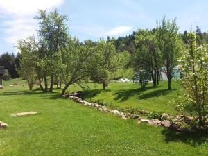 a grassy field with trees and a creek at Le Moulinage Des Ruches in Saint-André-en-Vivarais