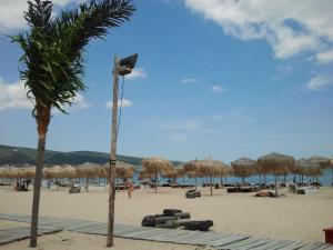 a beach with straw umbrellas and a palm tree at Guest House Paskal in Sunny Beach +16 photos