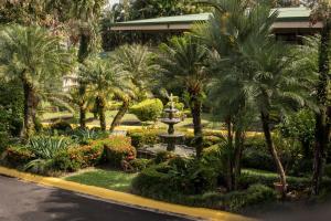 una fuente en un jardín con palmeras y plantas en Hotel Suerre, en Guápiles