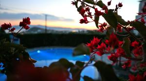 Bazén v ubytování Proteas Hotel & Suites nebo v jeho okolí