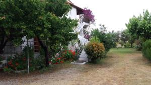 Fotografie z fotogalerie ubytování Theodore Apartments v destinaci Zacharo