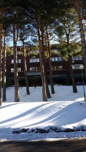 La Pinilla Ski Apartment v zimě