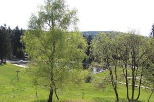 Loodusmaastik külalistemaja lähedal