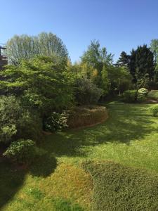a garden with green grass and bushes and trees at lille grand boulevard in Marcq-en-Baroeul