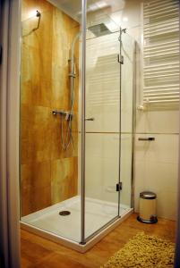 a shower with a glass door in a bathroom at Apartament Zwycięstwa 98 in Koszalin