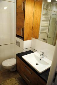 a bathroom with a sink and a toilet and a mirror at Apartament Zwycięstwa 98 in Koszalin