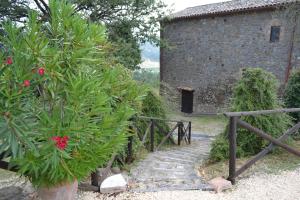 A garden outside Casale Montemoro