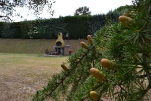 A garden outside Casale Montemoro