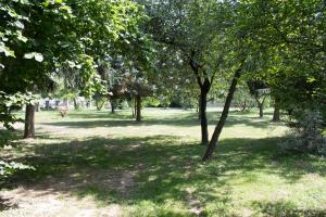 Vonkajšia záhrada v ubytovaní Holiday Home Melinda