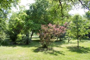 Vonkajšia záhrada v ubytovaní Holiday Home Melinda