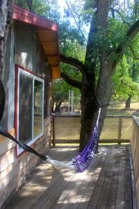 a hammock tied to a tree next to a building at Hawk's Rest in Oakhurst