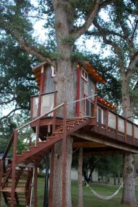 a tree house in a tree at Hawk's Rest in Oakhurst