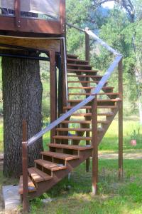 a wooden staircase next to a tree at Hawk's Rest in Oakhurst