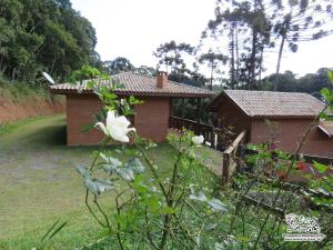 a garden with a house and a white flower at Espaço Recanto do Pico in Santo Antônio do Pinhal