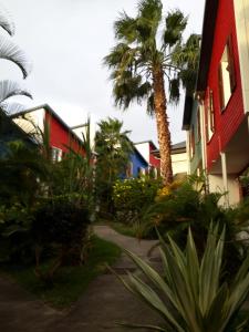 eine Palme neben einem Gebäude mit Bürgersteig in der Unterkunft Stella Foresta in Saint-Leu
