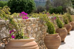 a row of vases filled with flowers on a stone wall at Asymi Residences in Symi