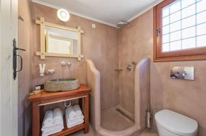 a bathroom with a shower and a toilet and a sink at Asymi Residences in Symi
