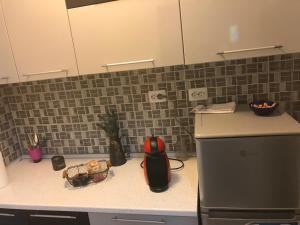 a kitchen with a counter top with a refrigerator at City Park Studio in Constanţa