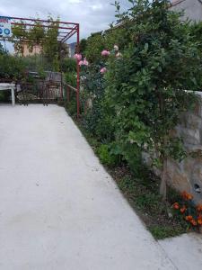 Vonkajšia záhrada v ubytovaní 2B Apartment